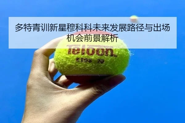 多特青训新星穆科科未来发展路径与出场机会前景解析